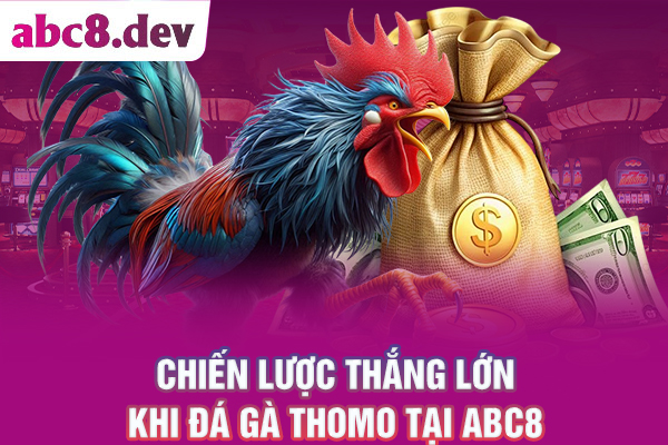 Chiến lược chơi đá gà Thomo ABC8 thắng lớn