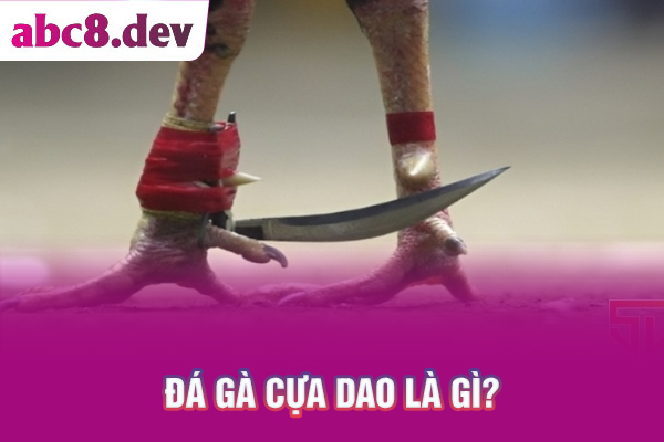 Đá gà cựa dao là gì?