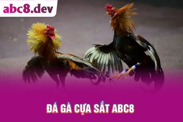 đá gà cựa sắt tại ABC8